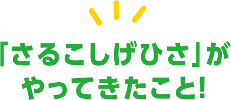 さるこしげひさがやってきたこと